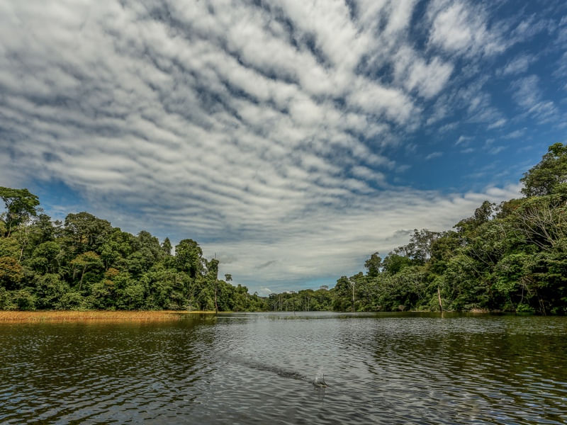 CÉU NA AMAZONIA