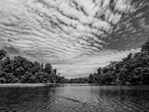 CÉU DA AMAZONIA PB