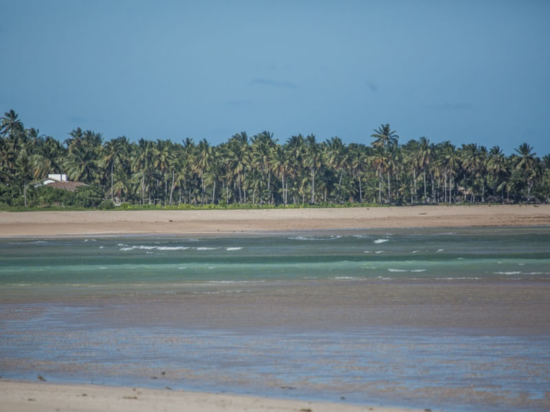 MAR DE MILAGRES