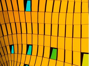 COLORS AND LINES