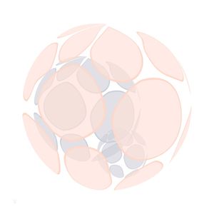 ROUND STAINS - ROSE
