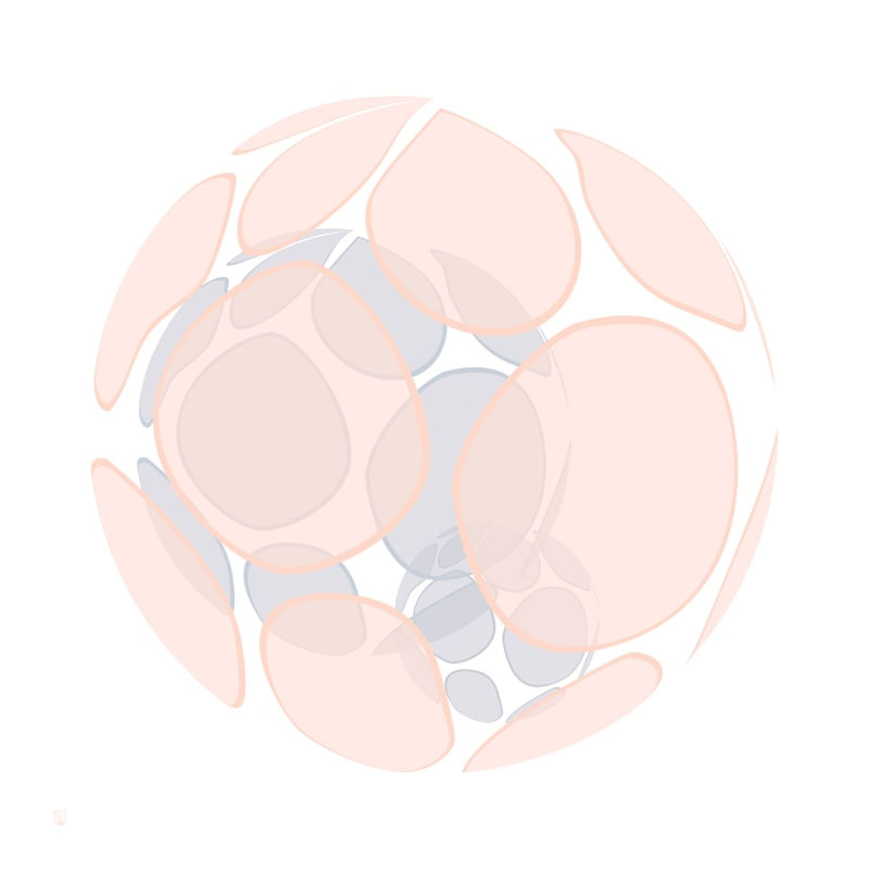 ROUND STAINS - ROSE