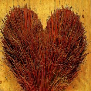 RED HEART - PASSIONE