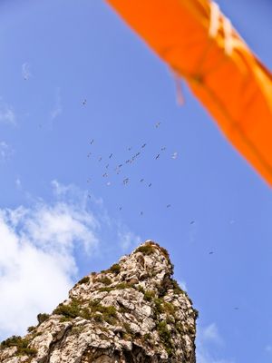 O CÉU, CAPRI