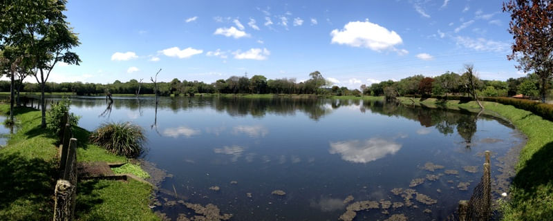 PAISAGEM LB