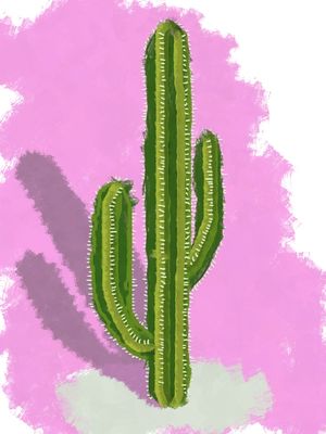 PINCELADA CACTO
