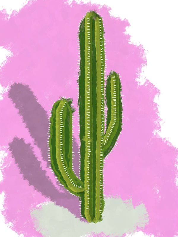 PINCELADA CACTO