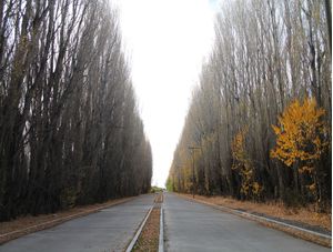 A ESTRADA DIVIDIDA