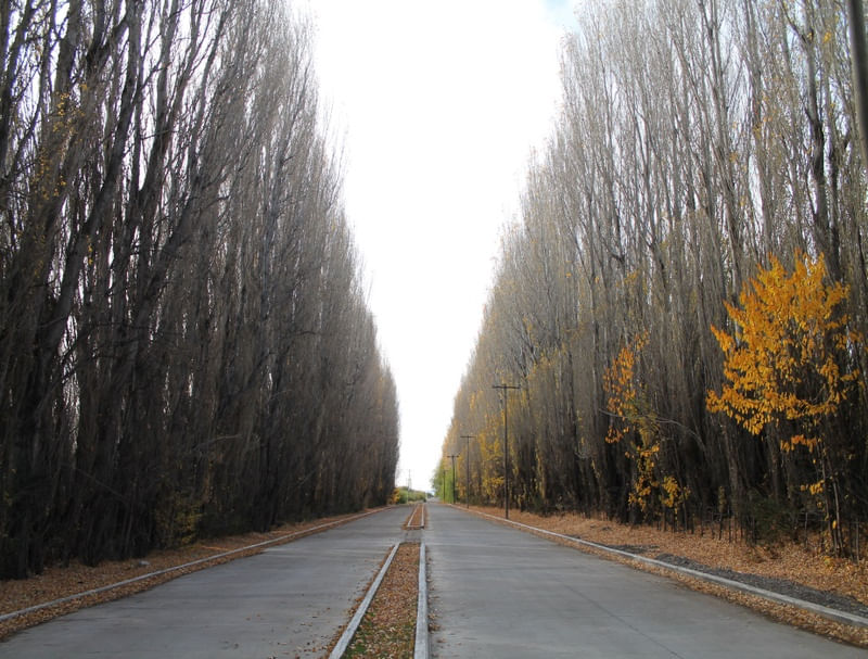 A ESTRADA DIVIDIDA