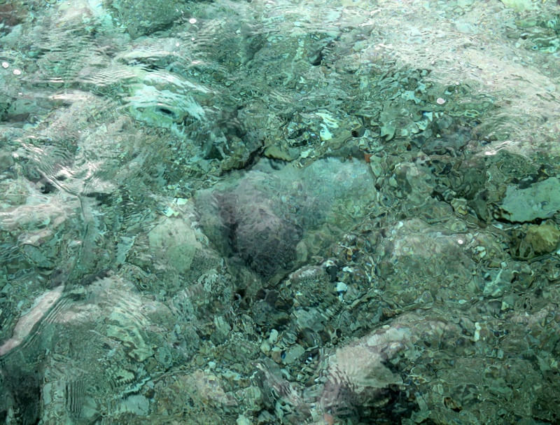 VERDE AZULADO