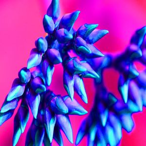 BLUME MIT ROSA HINTERGRUND