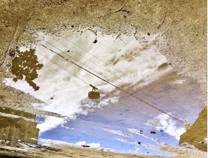 REFLEXO DO BONDINHO