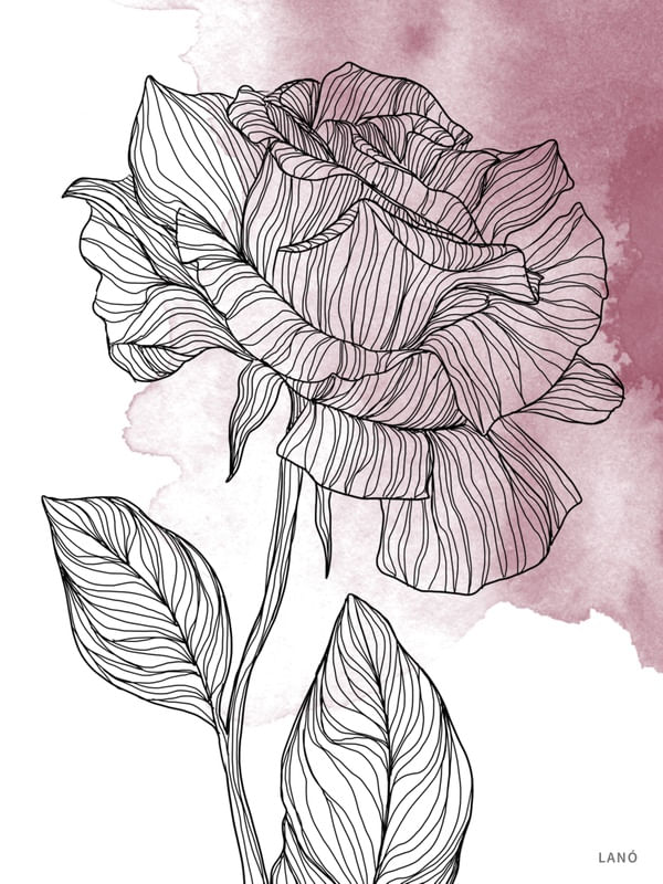 ROSA DE LINHAS