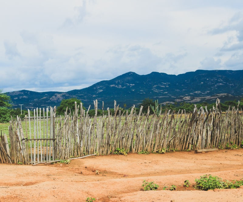 PORTA DA CERCA