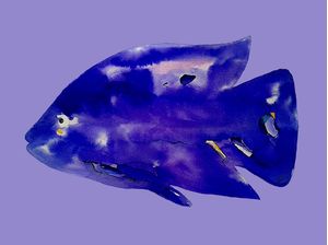 PEIXE AQUARELA IV
