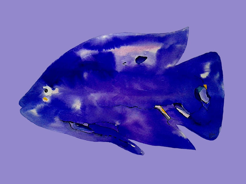 PEIXE AQUARELA IV