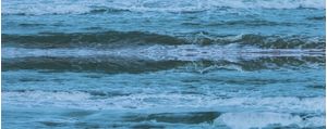 SEREIA NAS ONDAS