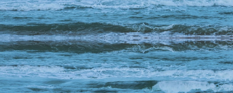 SEREIA NAS ONDAS