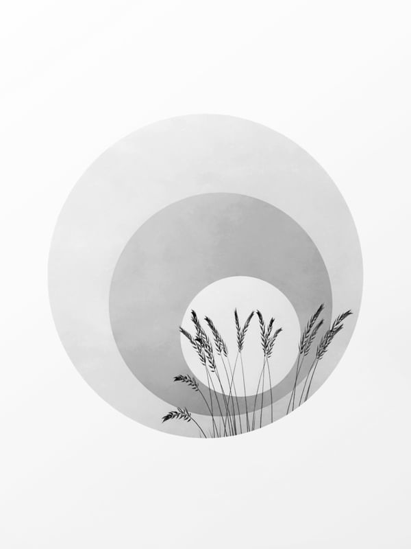 WHITE SOUND OF SILENCE