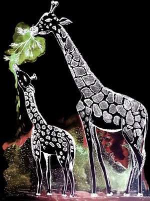 GIRAFAS NOITE