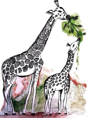GIRAFA DIA