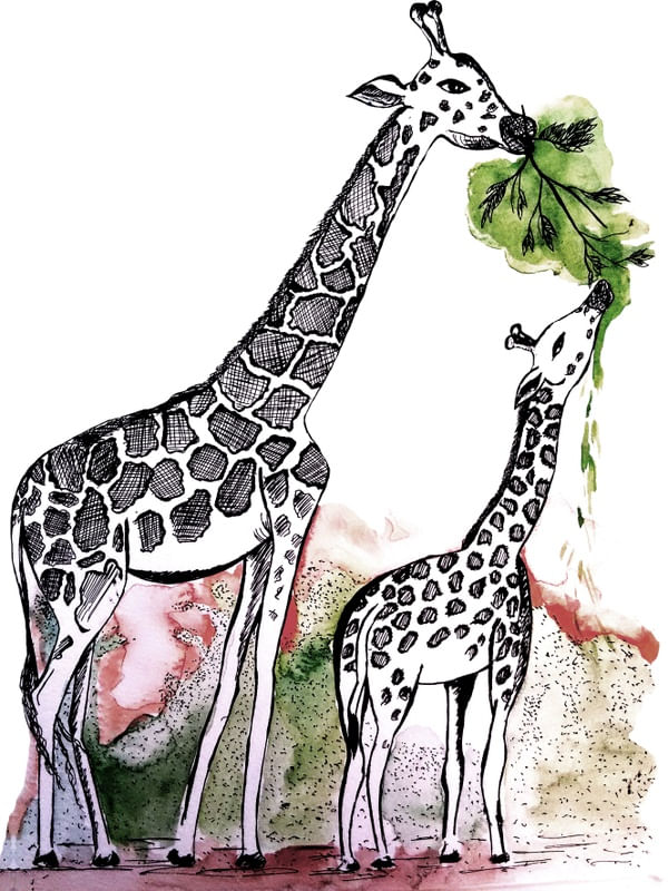 GIRAFA DIA