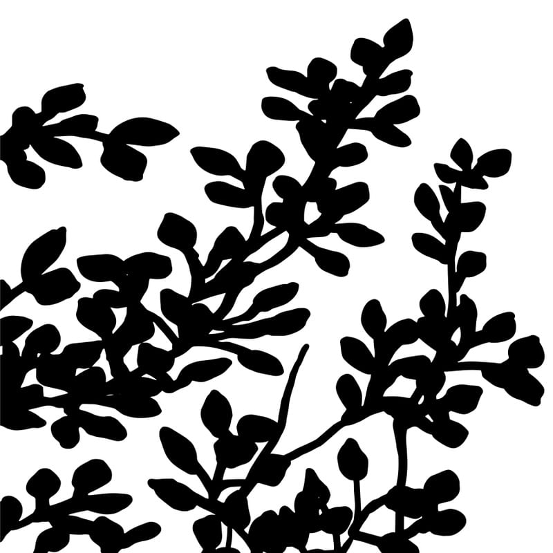 SILHOUETTE - FOLHAS 1