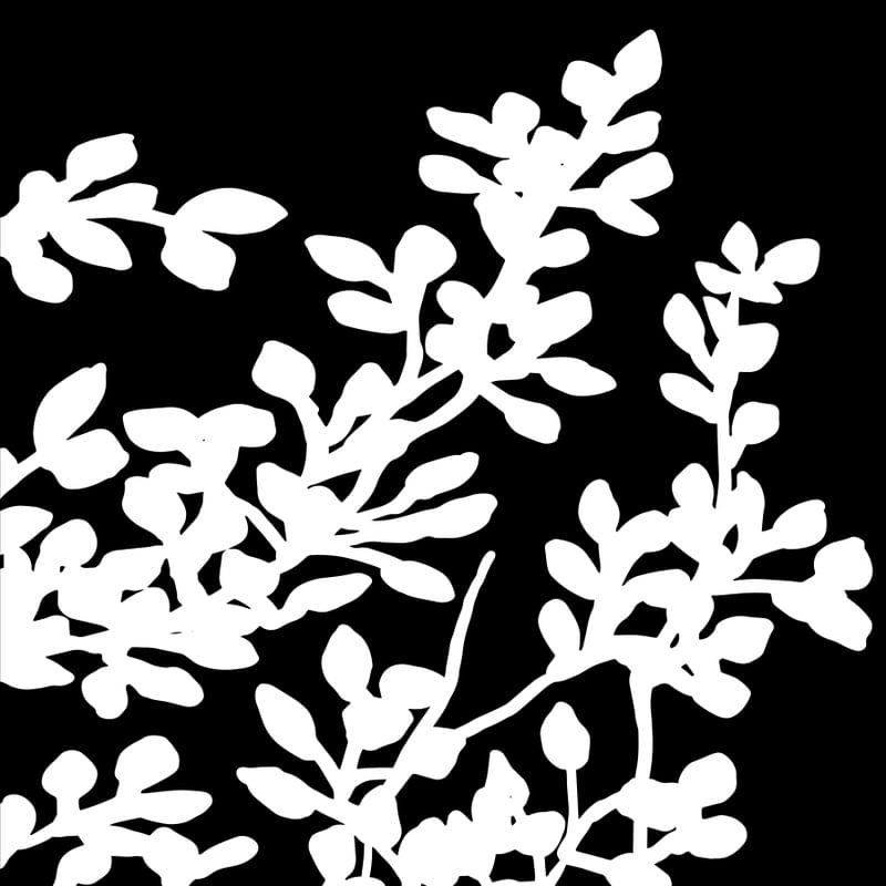 SILHOUETTE - FOLHAS 1 INV