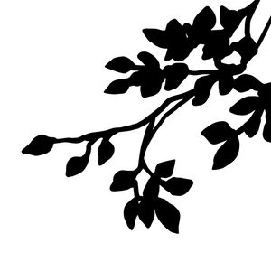 SILHOUETTE - FOLHAS 2