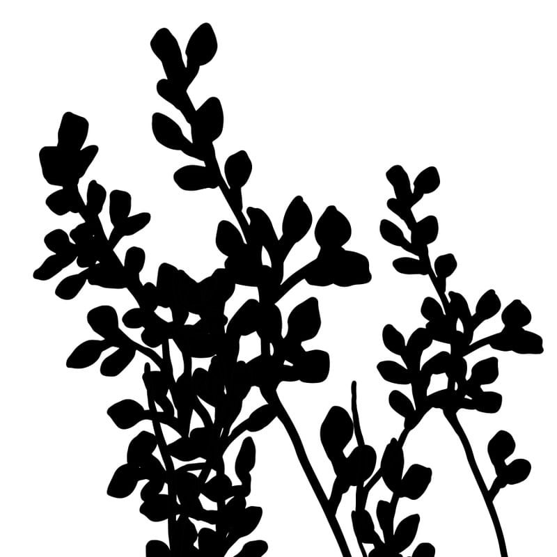 SILHOUETTE - FOLHAS 3