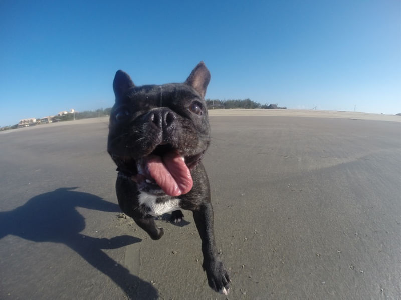 DE BOA NA PRAIA