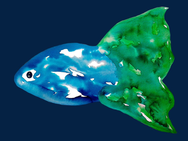 PEIXE AQUARELA VI