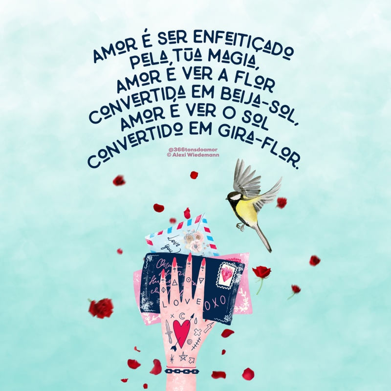 GIRAFLOR BEIJASOL