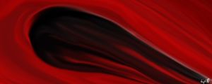 THE BLACK HOLE