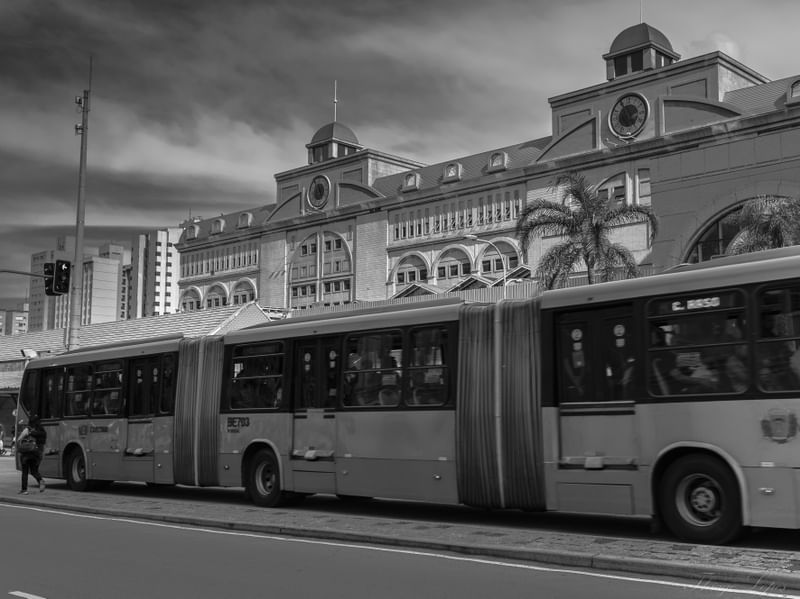 LINHAS DO COTIDIANO