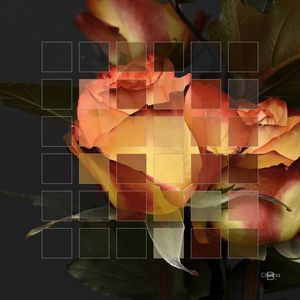 TRUE COLORS 08