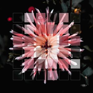 TRUE COLORS 09