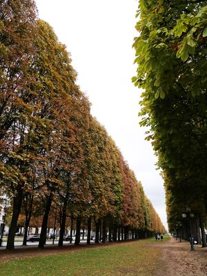 JARDINS, PARIS