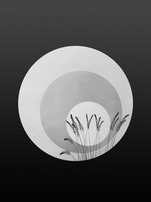 SOUND OF SILENCE