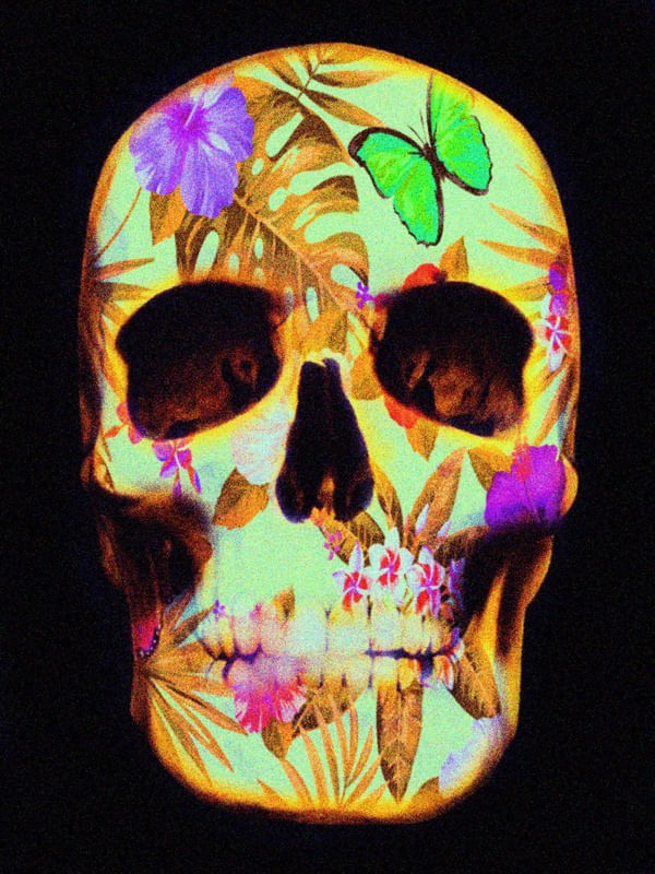 TROPICAL CAVEIRA