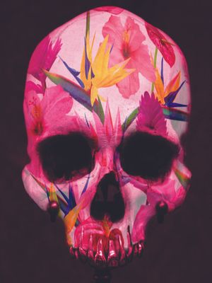TROPICAL CAVEIRA II
