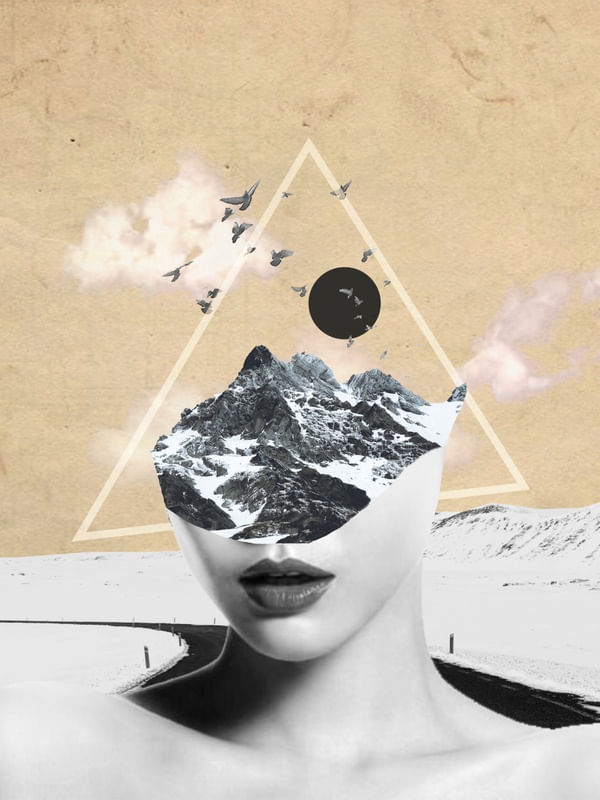 COLLAGE ART / WILD NATURE