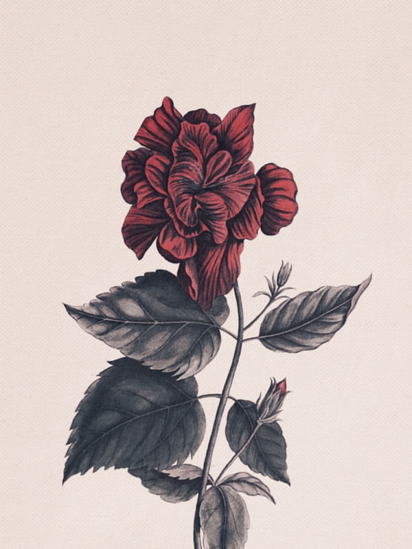 FLOWER NEAR ME 5