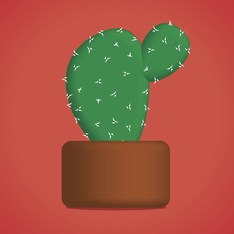 CACTOS 01
