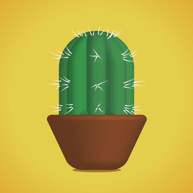 CACTOS 02