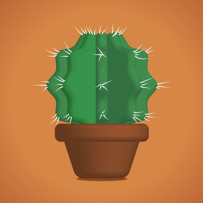 CACTOS 03