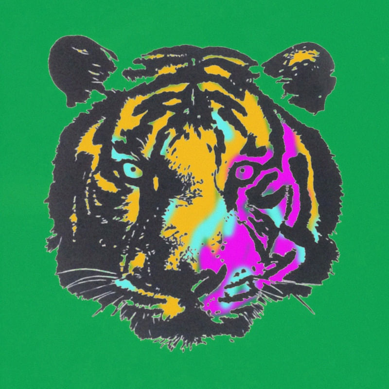 CORES NO TIGRE