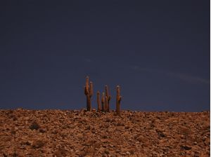 ENTRE O CÉU