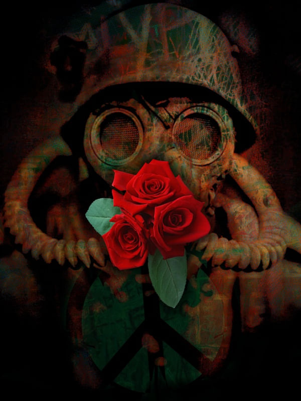 ROSE SOLDIER