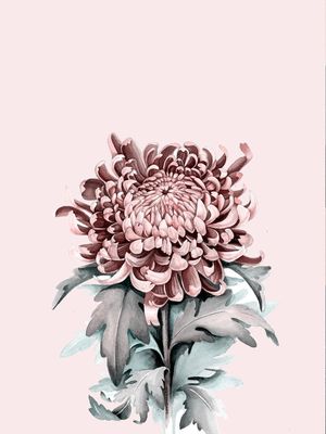 FLOWER NEAR ME 7